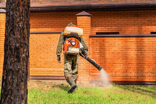 Trusted Mosquito Control service in East Massapequa, NY - Nex Pest Control